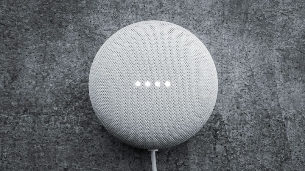 google home